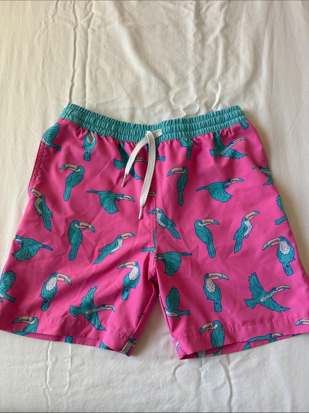 chubbies Pink Swim Trunks with Teal Toucan Print